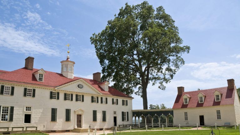 Perfectly Preserved Centuries-Old Cherries Unearthed At Mount Vernon