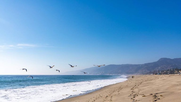 Residents Advised to Avoid Select LACo Beaches Due to Bacteria