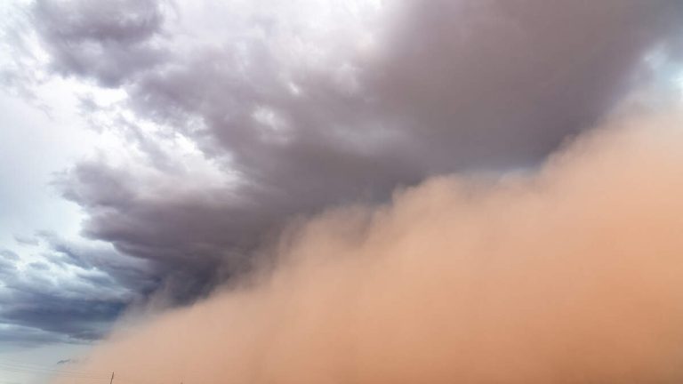 WATCH: Giant Dust Storm In New Mexico Visible From Space