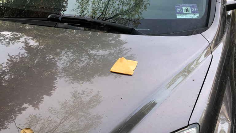 If You Find A Slice Of Cheese On Your Car, You Actually Might Be In Danger