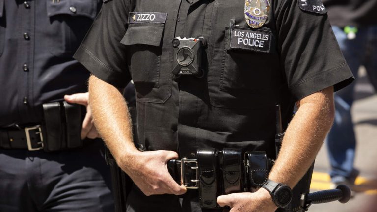 Video Shows LAPD Officer Punching Handcuffed Suspect