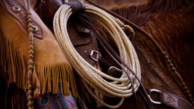 18-Year-Old Teen Cowboy Ace Patton Ashford Killed In Freak Accident