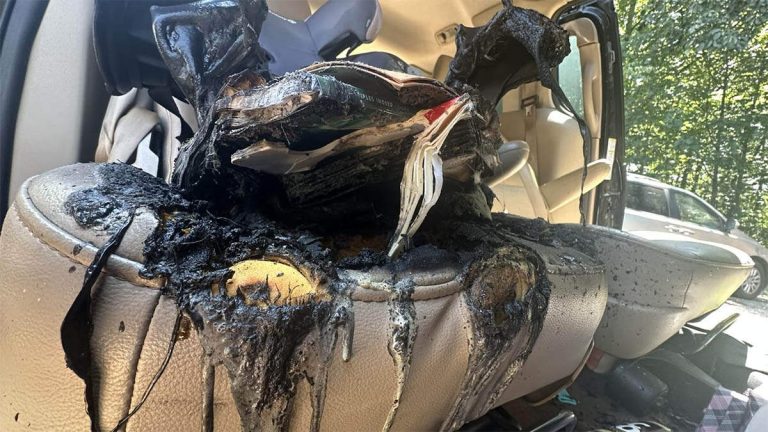 Children’s Book Causes Car Seat In Family’s Minivan To Burst Into Flames