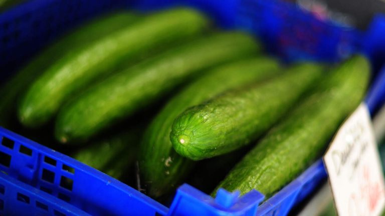 Cucumbers Linked To Salmonella Outbreak That Sickened Hundreds In 31 States