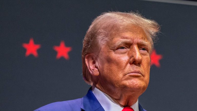Donald Trump Names Adult Sons And Donors To Run Transition Team