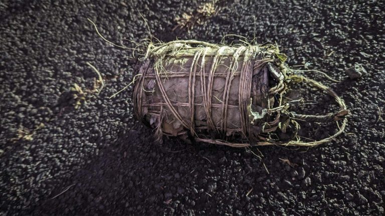 FBI Investigating Multiple Explosive Devices After SUV Destroyed In Hawaii