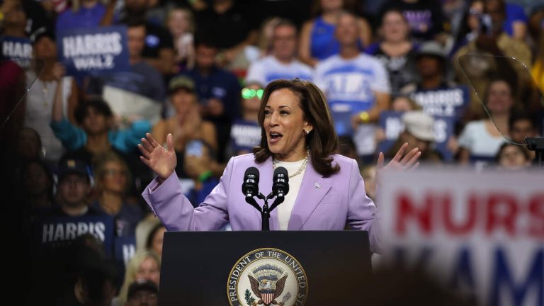Harris Releases Her Economic Plan That Includes Restored Child Tax Credit