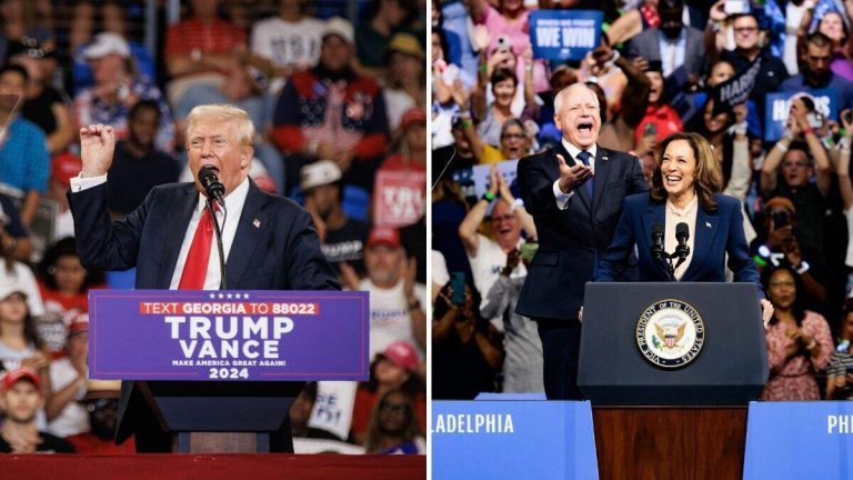 New Poll Shows Where Harris, Trump Stand In Crucial Swing State