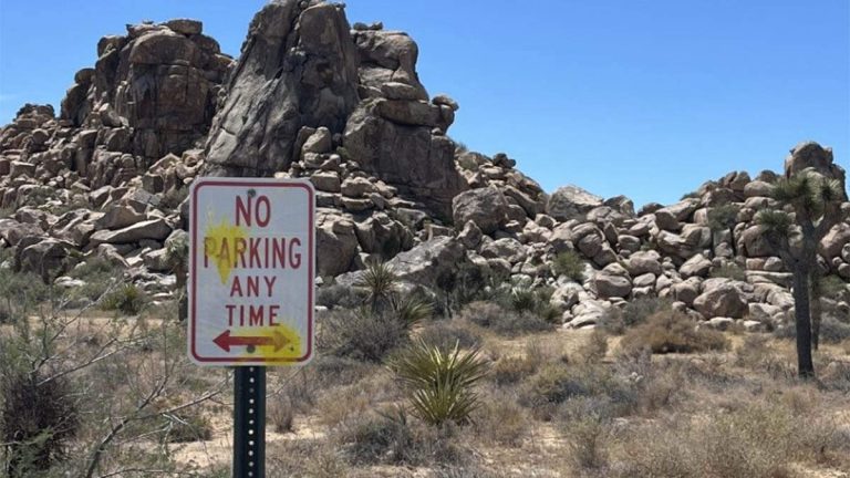 Tourists Cited For Shooting Up Joshua Tree National Park With Paintballs