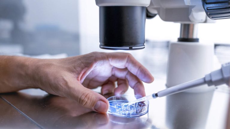 Trump Proposes Universal Coverage For IVF Treatment: ‘We Want More Babies’