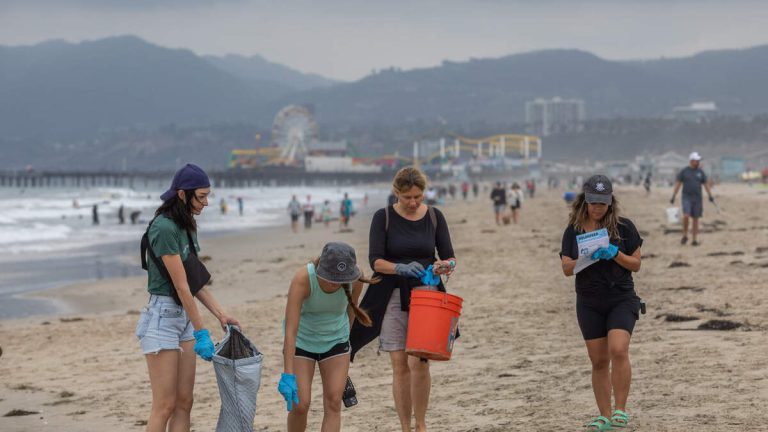 Coastal Cleanup Day Is Tomorrow, Here’s Where You Can Volunteer