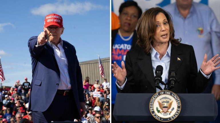 Famed Polling Expert Predicts Blowout Between Trump, Harris