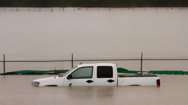 Good Samaritan Pulls Driver From Truck During Hurricane Francine On Live TV