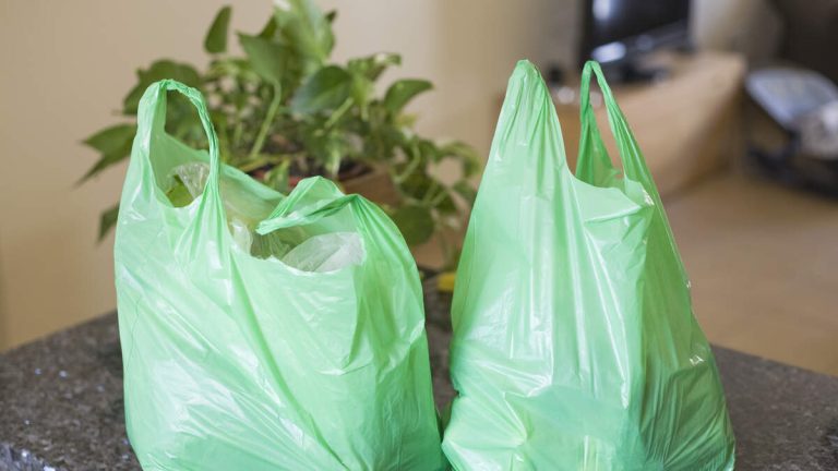 Newsom Signs Law Banning Plastic Grocery Bags