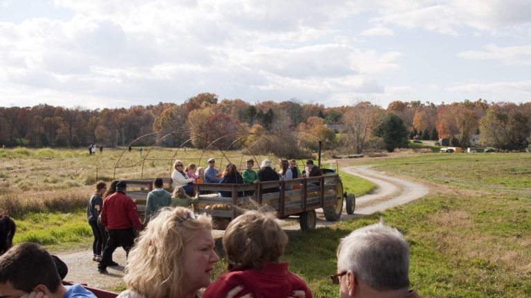 Over 2 Dozen Injured On School Field Trip When Wagon Flips At Apple Orchard