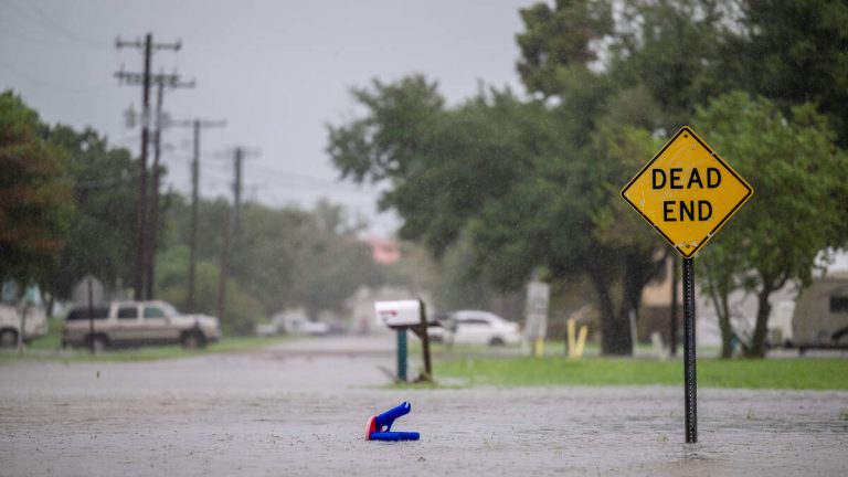 Over 450,000 Without Power As Francine Barrels North Across Louisiana