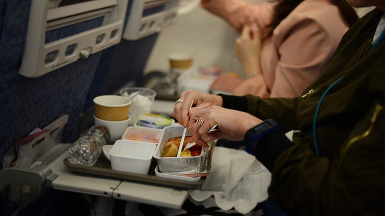 Plane Makes Emergency Landing After Mouse Jumps Out Of In-Flight Meal