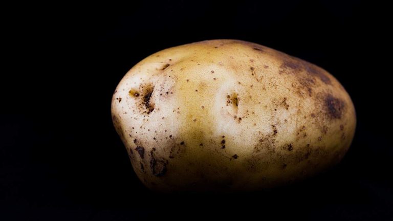 Woman Nearly Dies Of ‘Solanine Poisoning’ From A Regular Potato