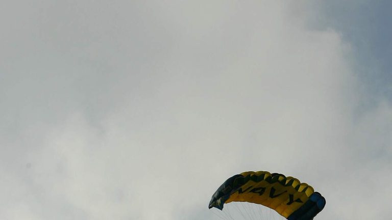 WATCH: Two Injured After Navy Parachutist Crashes Into Crowd During Airshow