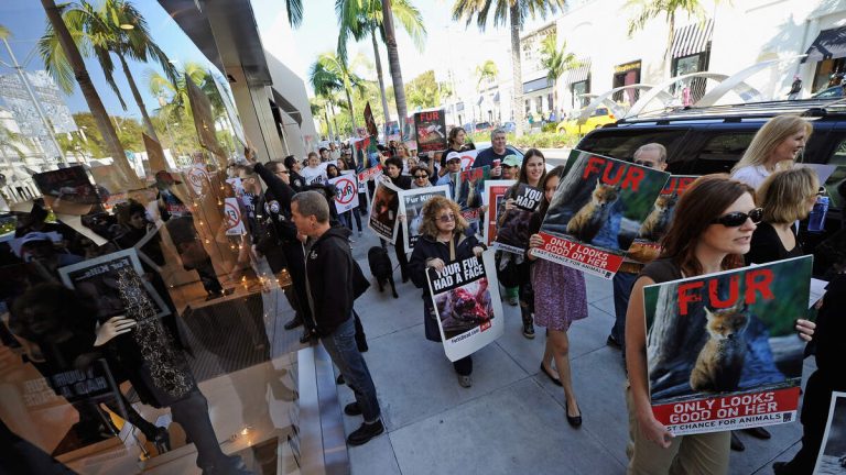 Animal Rights Advocates to Protest Fur Trade on Rodeo Drive