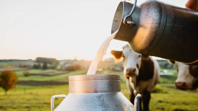 Company Issues Voluntary Statewide Recall on Raw Milk Product