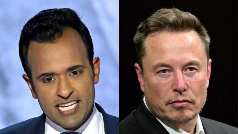 Elon Musk, Vivek Ramaswamy To Lead New Department Of Government Efficiency