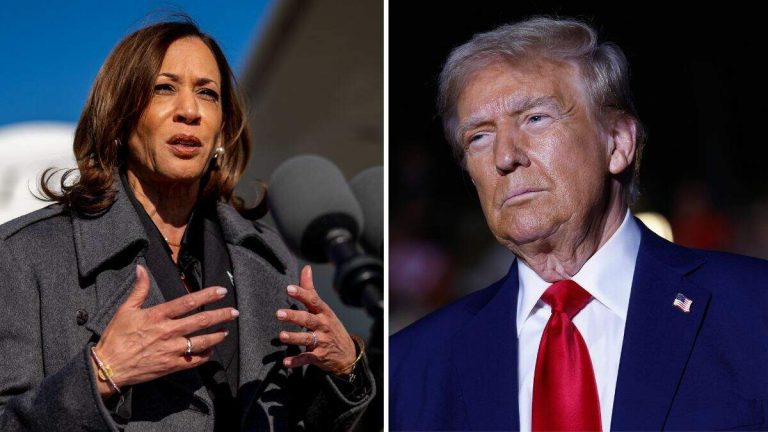 Final Poll Shows Where Harris, Trump Stand Among Swing State Voters