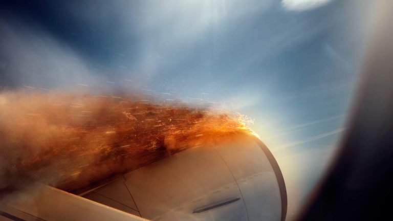 Flames Burst From Plane’s Engine After Reported Bird Strike