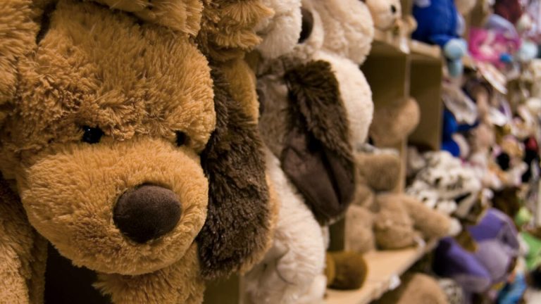 Inglewood Man Faces Sentencing for Role in Stuffed Animals Drug Ring