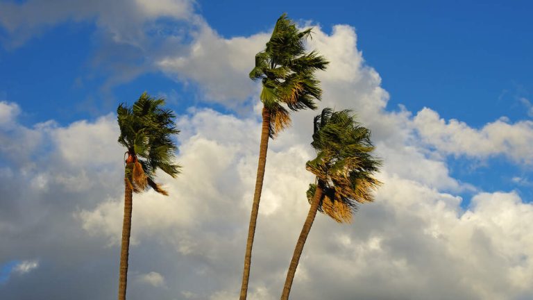 Damaging Winds, Low Humidity Headed for Parts of LA County