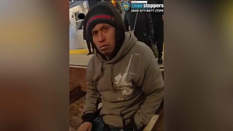 Migrant Who Burned Woman On Train Indicted