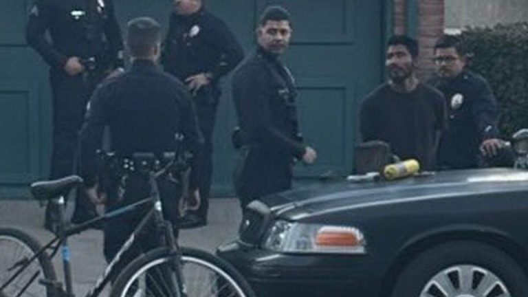 Alleged San Fernando Valley Arsonist In Custody