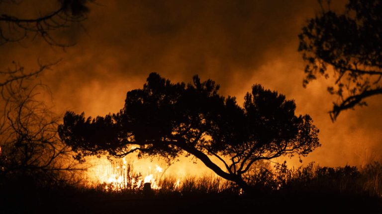 Auto Fire in Oxnard Burns 61 Acres, 47% Contained