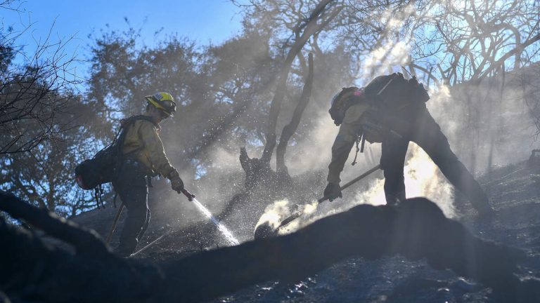 Containment of Palisades Fire Rises to 19%