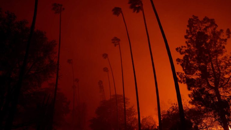 Damage Estimates Grow as Firefighters Work to Contain Eaton Fire