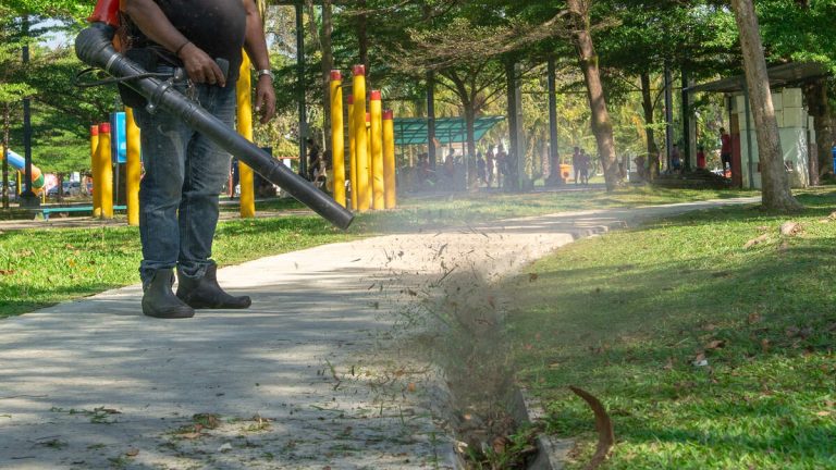 LA County Temporarily Bans Leaf Blowers Amid Wildfire Recovery