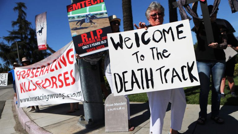 Santa Anita Sees Second Racehorse Death of 2025