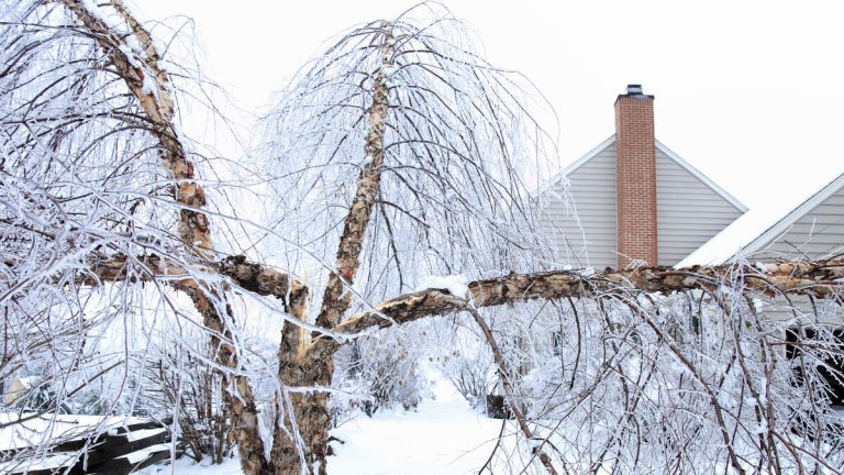 Dangerous Winter Storm With Ice-Snow Mix To Hit Nearly 2 Dozen States