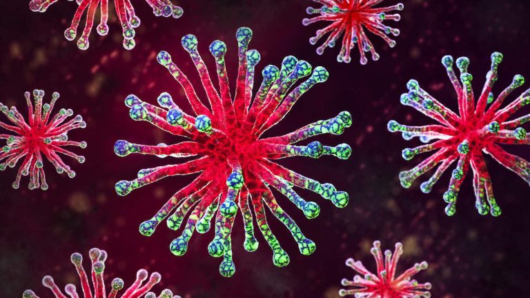 Experts Reveal How New Virus In US Could Trigger Pandemic