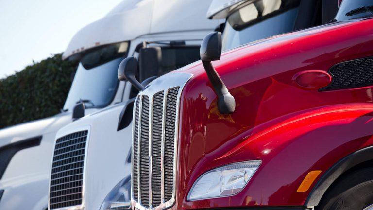 Port of LA Truck Drivers Strike to Protest Low Wages, Poor Labor Conditions