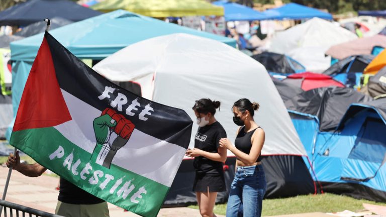 Two UCLA Pro-Palestine Groups Suspended Following Incident at Regent’s Home