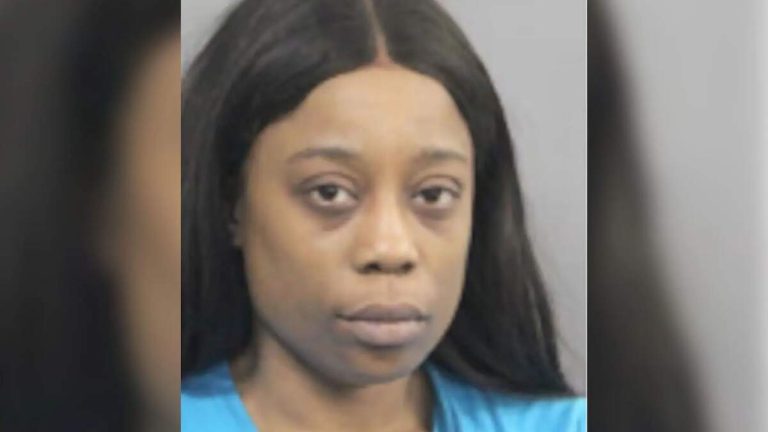 Woman With Notable Criminal History Charged In Death Of Super Bowl Reporter