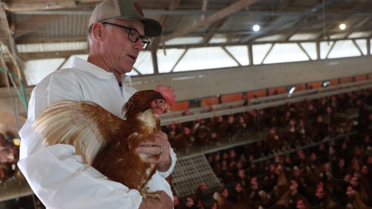 Bird Flu Spread Slows in California, Officials Report