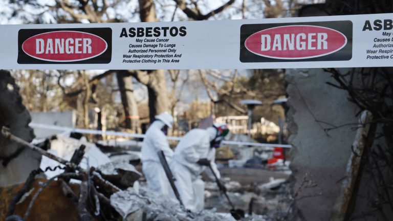 Deadline Nears for Palisades, Eaton Fire Debris Removal