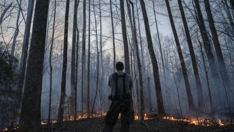 Evacuations Ordered As Wildfires Burn In Western North Carolina