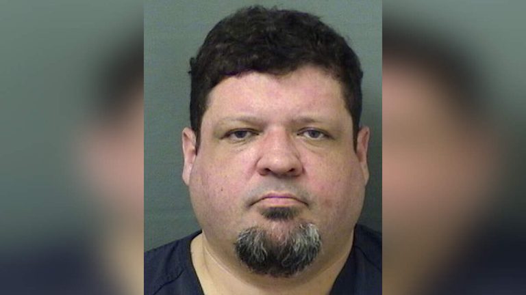 Florida Man Arrested After Driving Car Into Protesters At Tesla Dealership