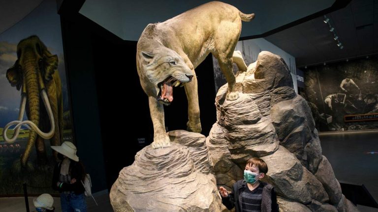 More than 30 Museums in SoCal Offer Free Admission for Regional Event