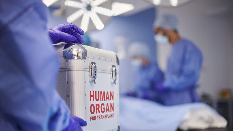 Patient Dies After Getting Rabies From A Transplanted Organ