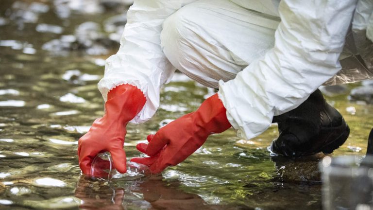 Scientists Make Disturbing Discovery While Collecting Samples From River