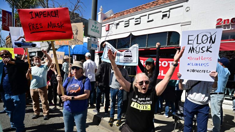 ‘Tesla Takedown’ Protests Target Musk’s Role in DOGE